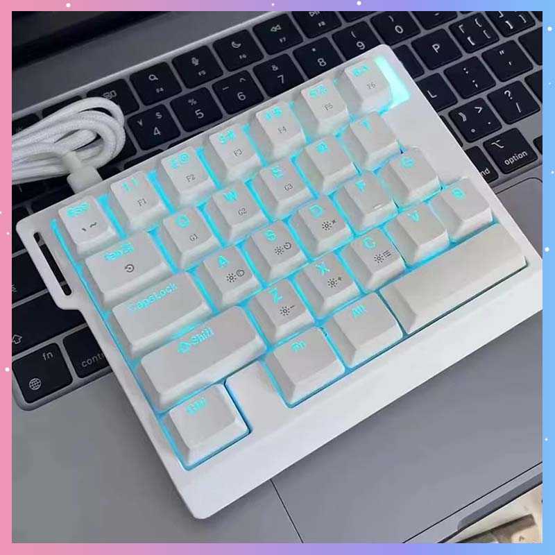 Gaming Keyboard Magnetic Switches - HE30 Mechanical Gaming Keyboard 29keys Magnetic